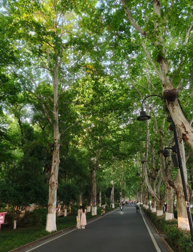 Hubei Provincial Museum to East Lake Hubei Provincial Museum to East Lake