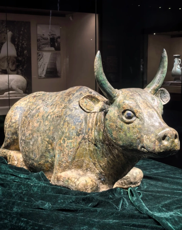 Photo of Ningxia Museum: public transport Yinchuan attractions