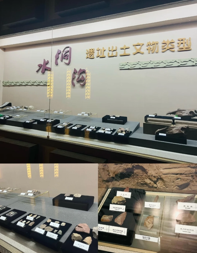 Ningxia archaeological site tickets Ningxia archaeological site tickets