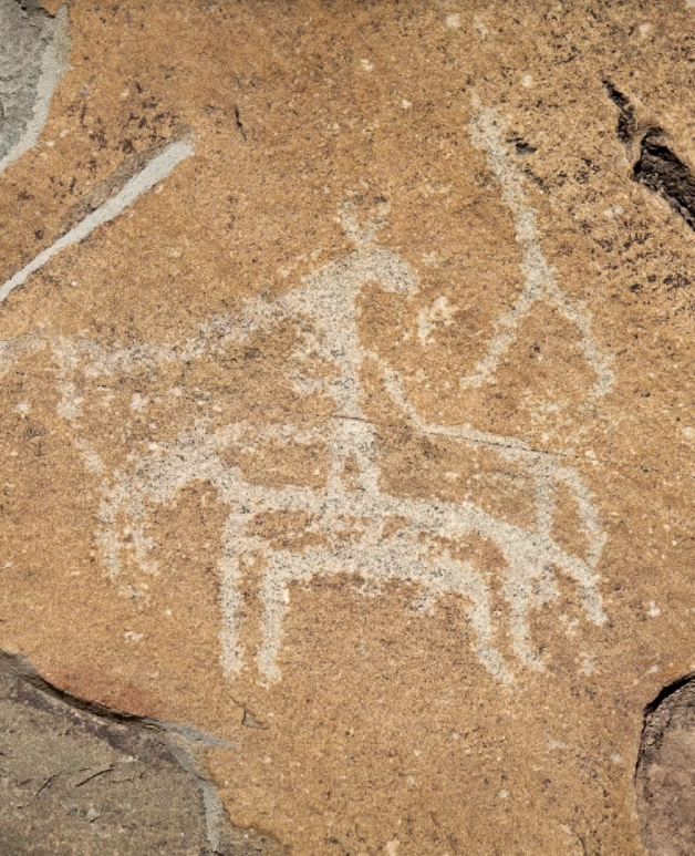 Helan Mountain petroglyphs tour