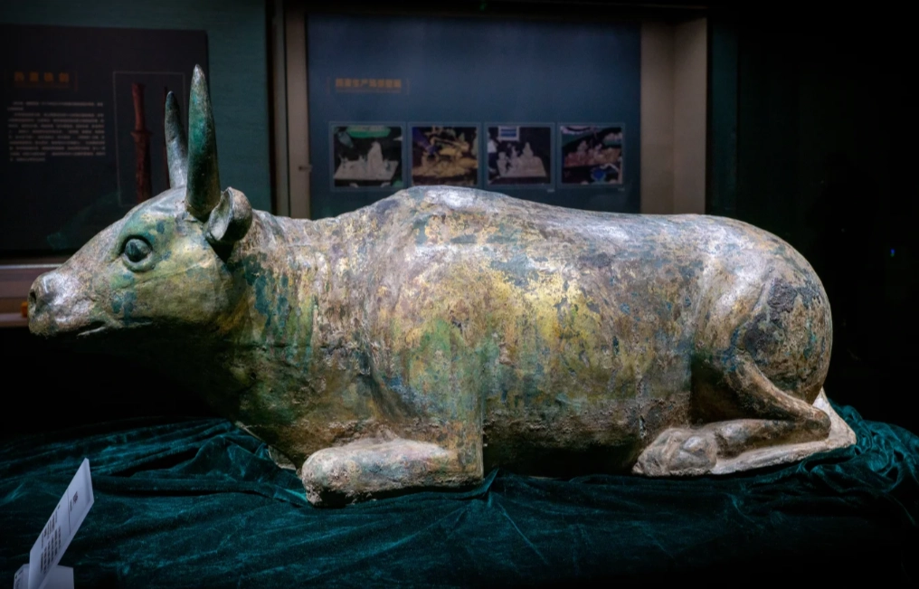 Yinchuan museum foreigner guide Yinchuan museum foreigner guide