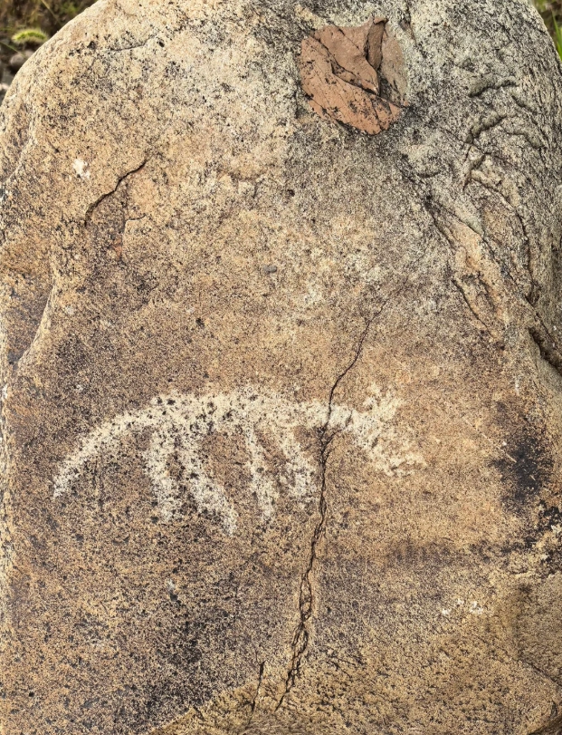 Helan Mountain petroglyphs directions