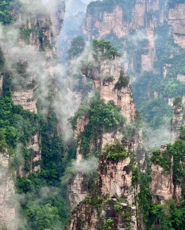 Zhangjiajie national forest park short visit Zhangjiajie national forest park short visit
