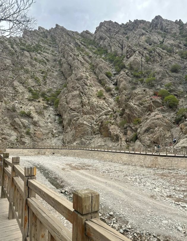 helan mountain rock engravings entry fee