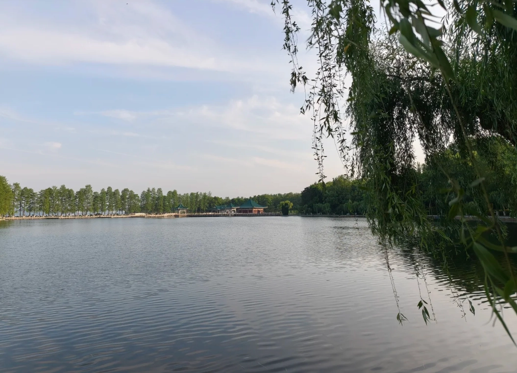 East Lake Scenic Area from museum East Lake Scenic Area from museum