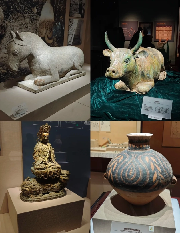 book Ningxia Museum online book Ningxia Museum online