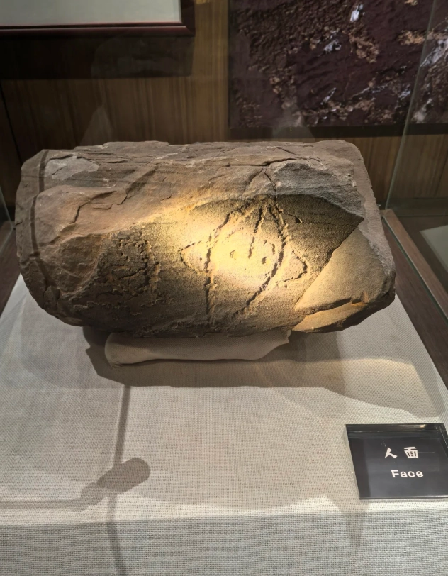 Photo of Ningxia Museum: Ningxia Museum exhibits
