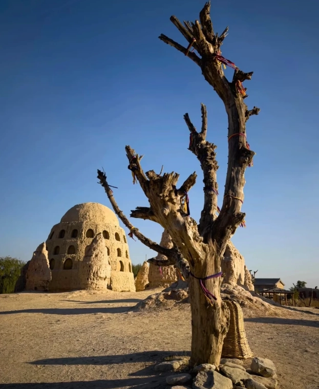 Photo of Zhenbeibao Western Film Studio: Ningxia travel tips