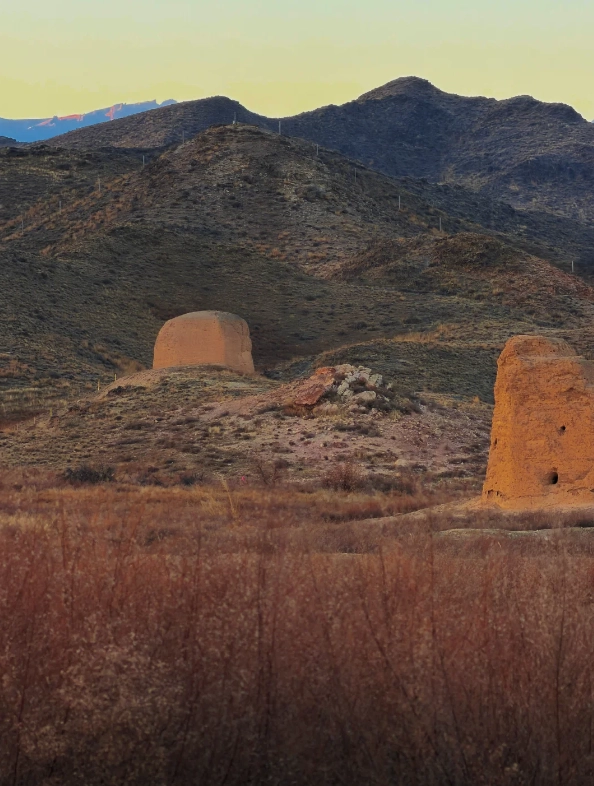 Western Xia history Western Xia history