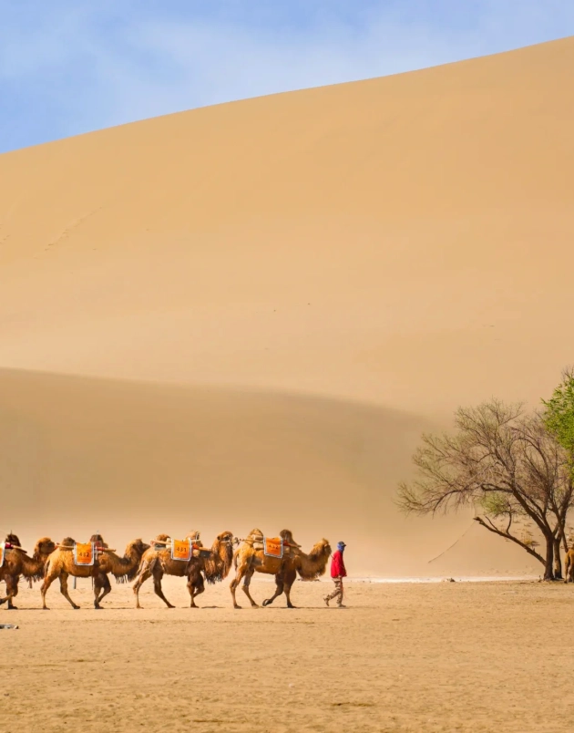 Dunhuang sand dune tour cost Dunhuang sand dune tour cost