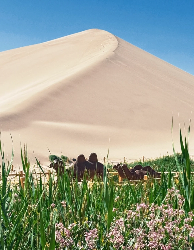 Photo of Mingsha Mountain and Crescent Lake: Mingsha Mountain what to bring