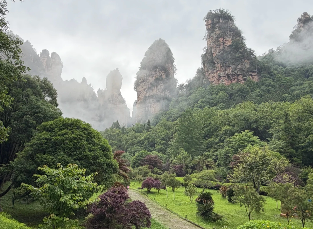 foreigners ticket Zhangjiajie foreigners ticket Zhangjiajie