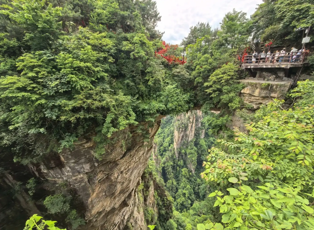 Zhangjiajie National Forest Park ticket booking