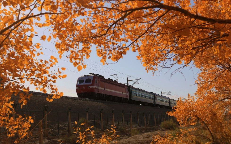 China train booking for tourists