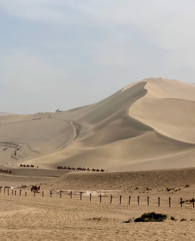 Dunhuang desert family Dunhuang desert family