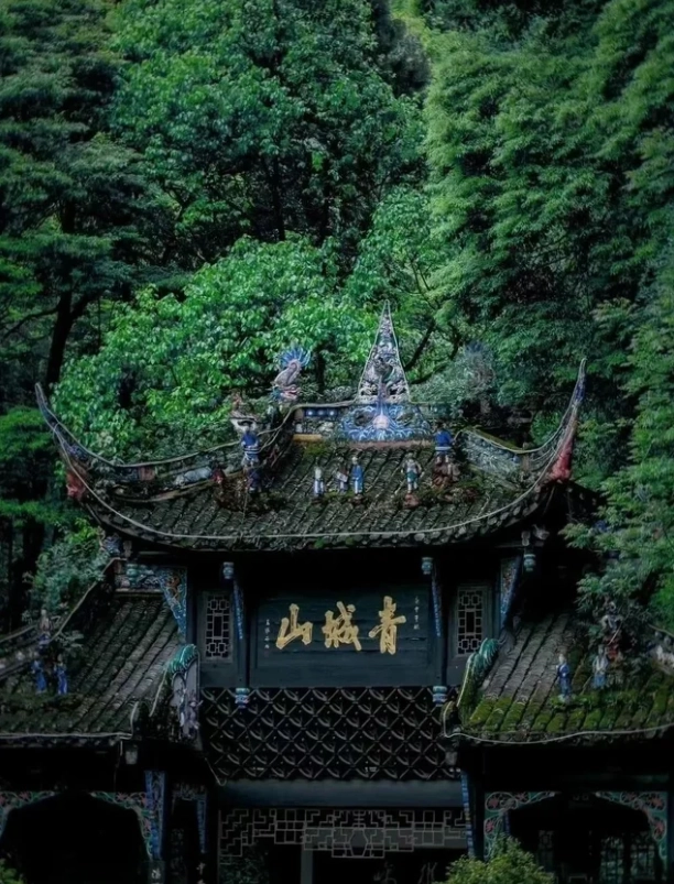 Chengdu guided tour