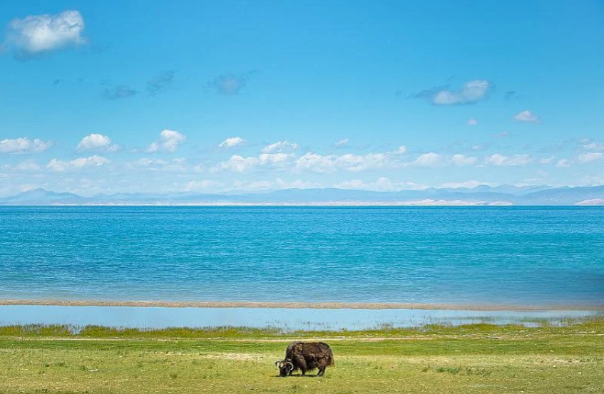 Xining layover guide: Eat, see & survive a 6-hour stop