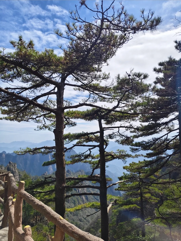 Hangzhou to Huangshan high speed train