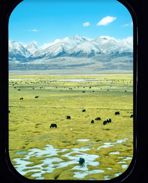 Tibet train experience
