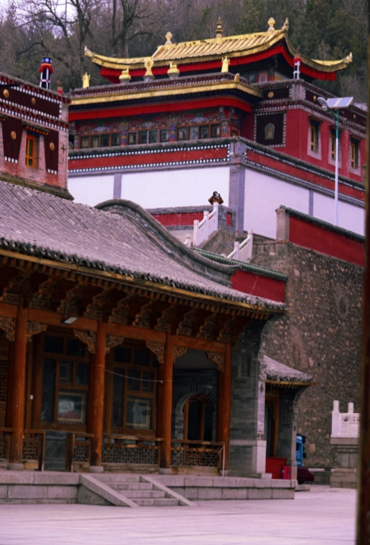 Kumbum Monastery photography locations Kumbum Monastery photography locations
