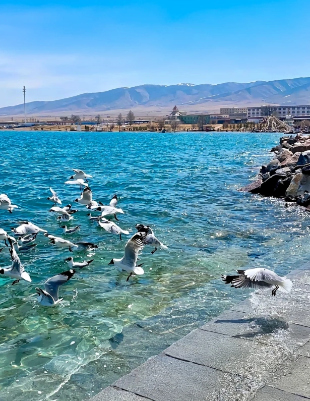 Xining day tour Xining day tour