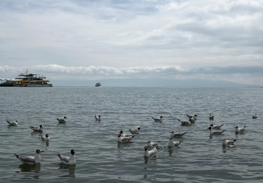 Qinghai lake day trip from Xining Qinghai lake day trip from Xining