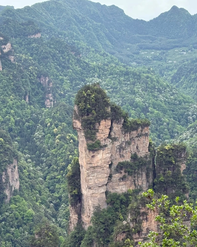 Zhangjiajie National Forest Park tickets Zhangjiajie National Forest Park tickets
