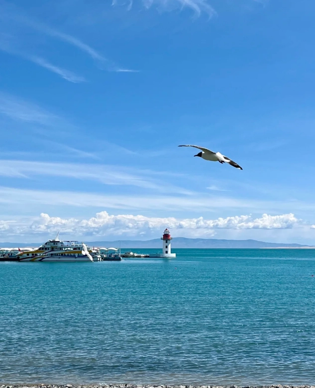 Photo of Qinghai Lake: Qinghai Lake tour