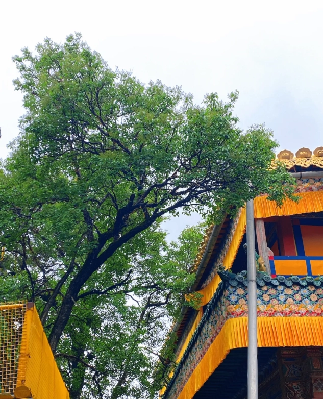 Photo of Kumbum Monastery: butter sculptures