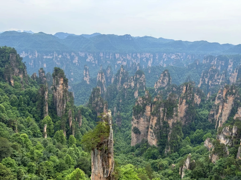 Zhangjiajie weather by month