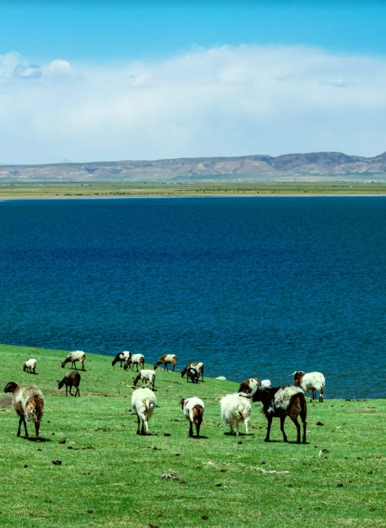Photo of Qinghai Lake: Xining transit without visa