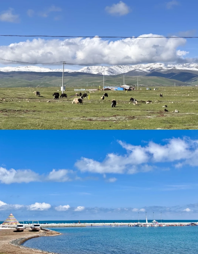 how to buy Qinghai Lake tickets how to buy Qinghai Lake tickets