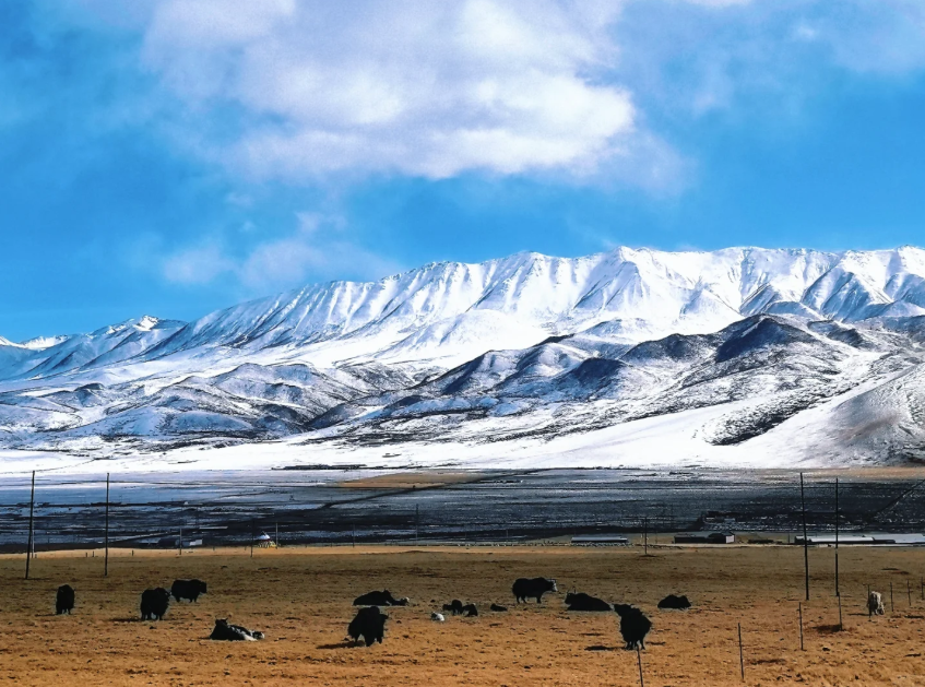 Xining Day Trips: Avoid Crowds & Save Money on Your Qinghai Tour