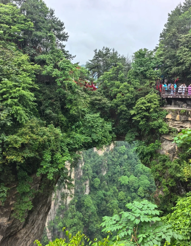 English guide Zhangjiajie English guide Zhangjiajie