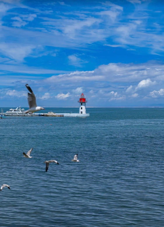 how to get to qinghai lake how to get to qinghai lake