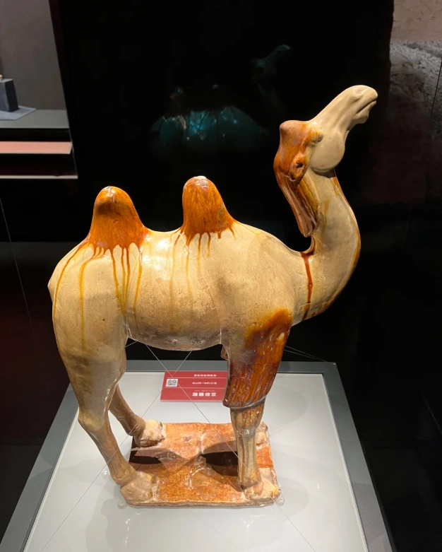 Xining museum tickets booking Xining museum tickets booking