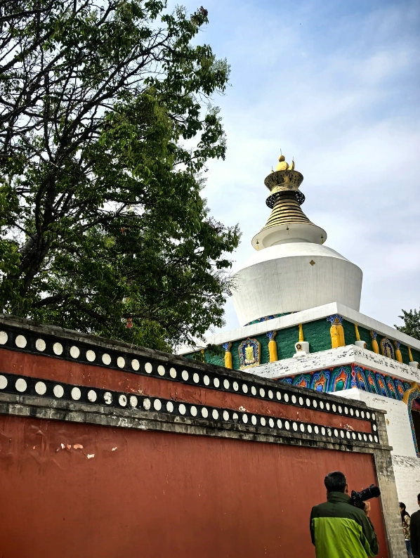 kumbum monastery guided tour kumbum monastery guided tour