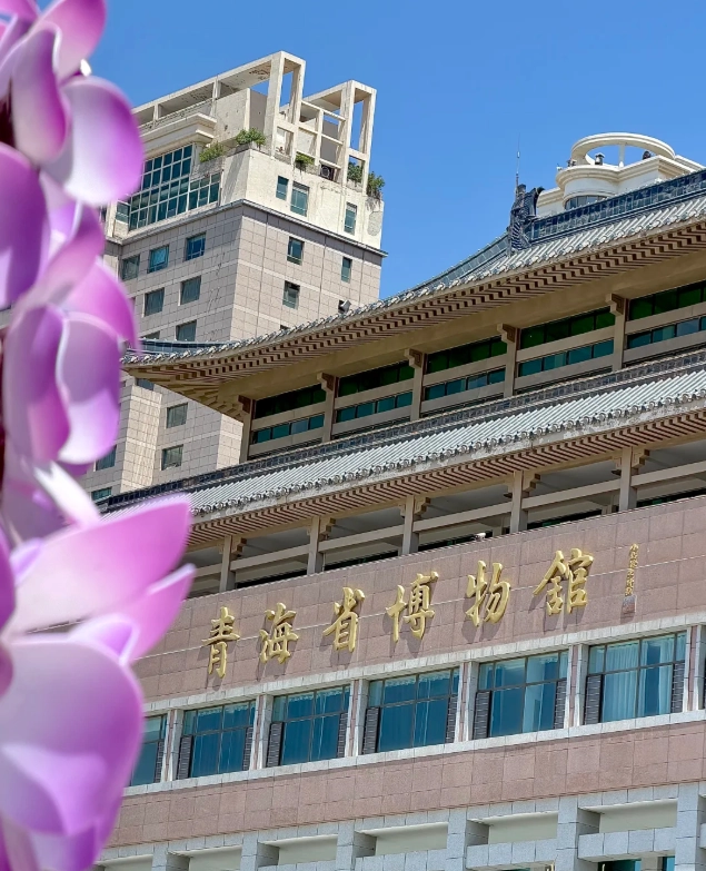 Qinghai Museum free admission Qinghai Museum free admission