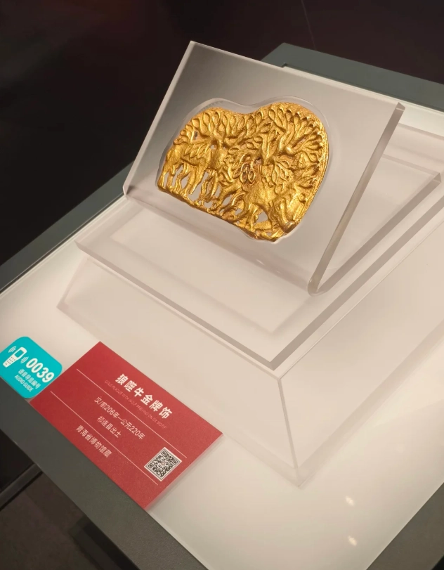 Is Qinghai Provincial Museum worth it