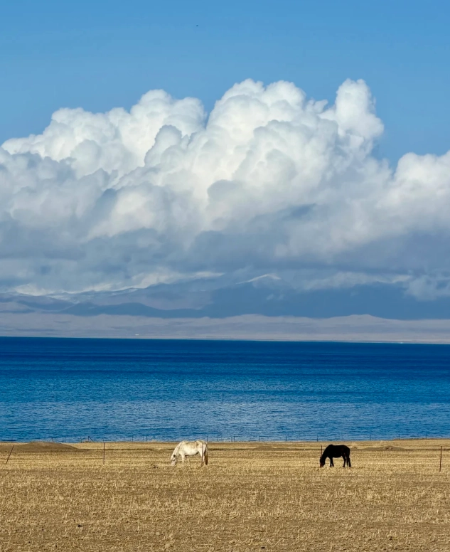 Qinghai Lake landscape photography