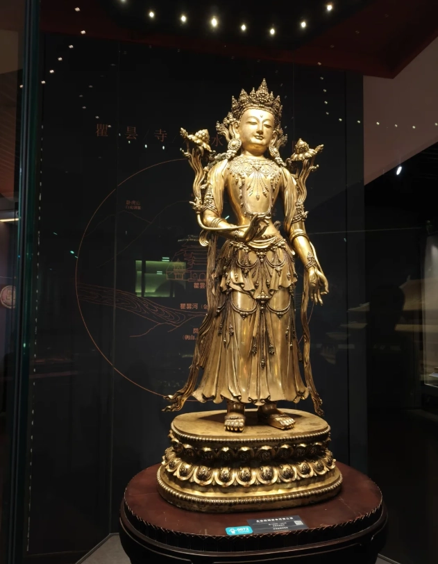 Qinghai museum visit