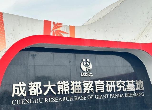 Best Places to Visit in Chengdu: Insider Tips to Beat the Crowds