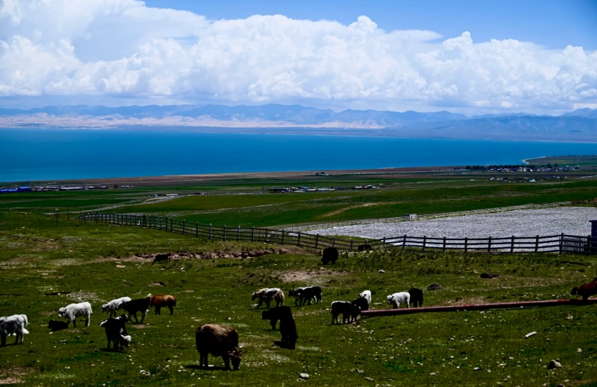 Qinghai Lake sunrise photography