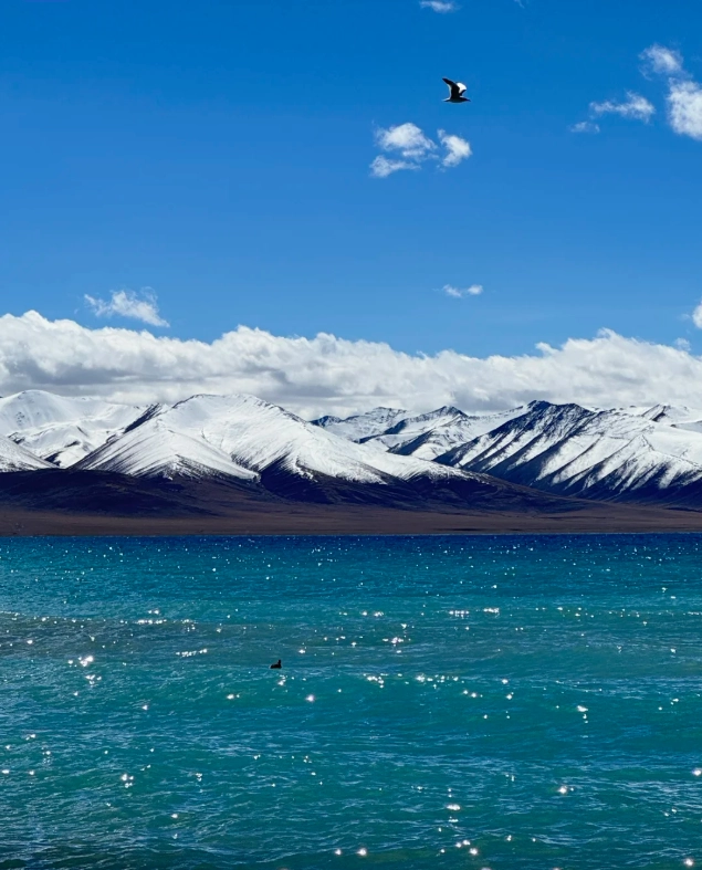 things to do in Lhasa alone things to do in Lhasa alone