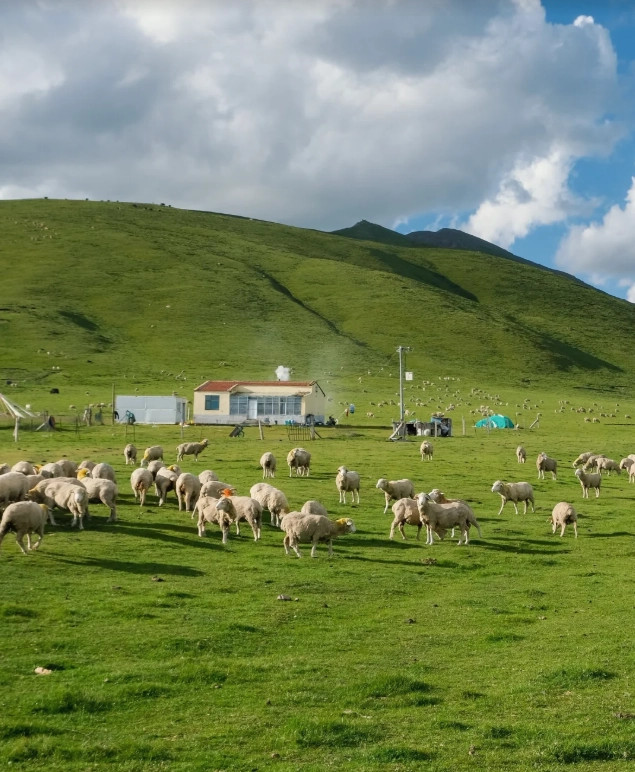 Xining itinerary 2 days