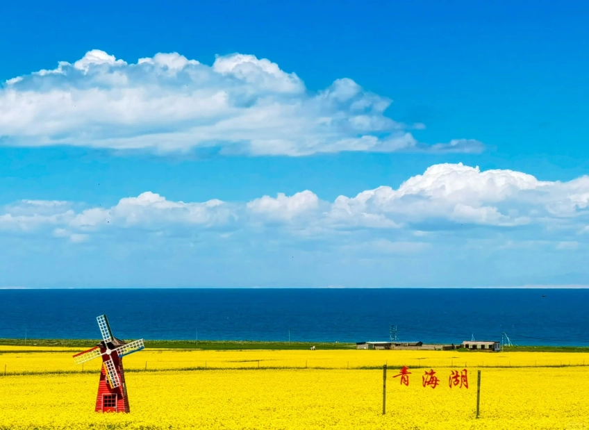Xining 4-Day Itinerary: Explore Qinghai Lake & Kumbum Monastery