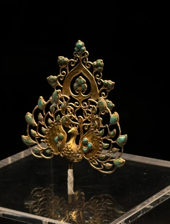 Qinghai Provincial Museum free admission