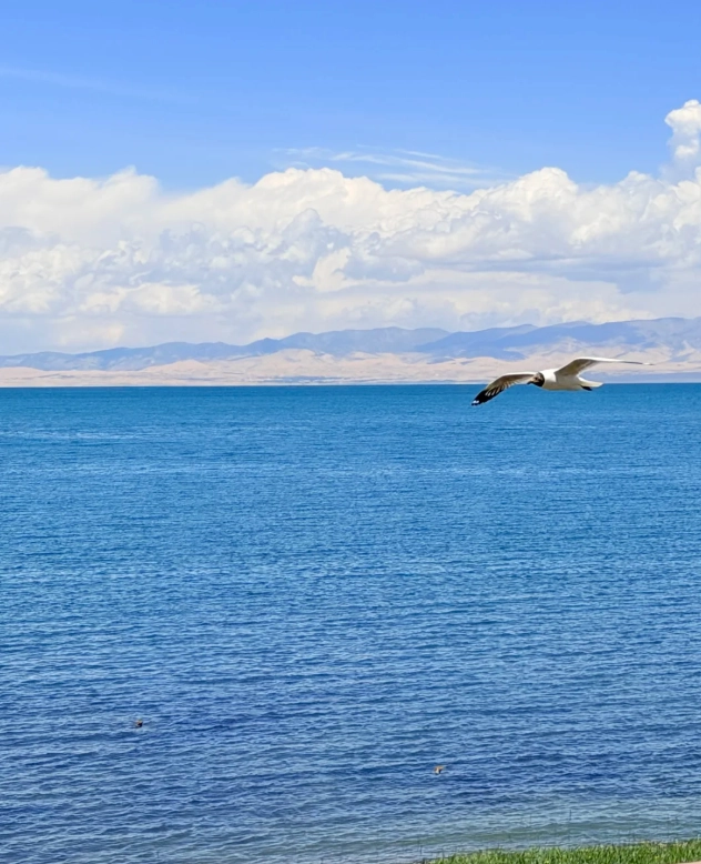 qinghai lake guided tour