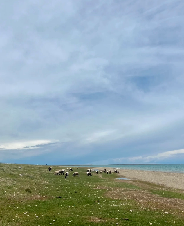 Qinghai Lake travel tips Qinghai Lake travel tips