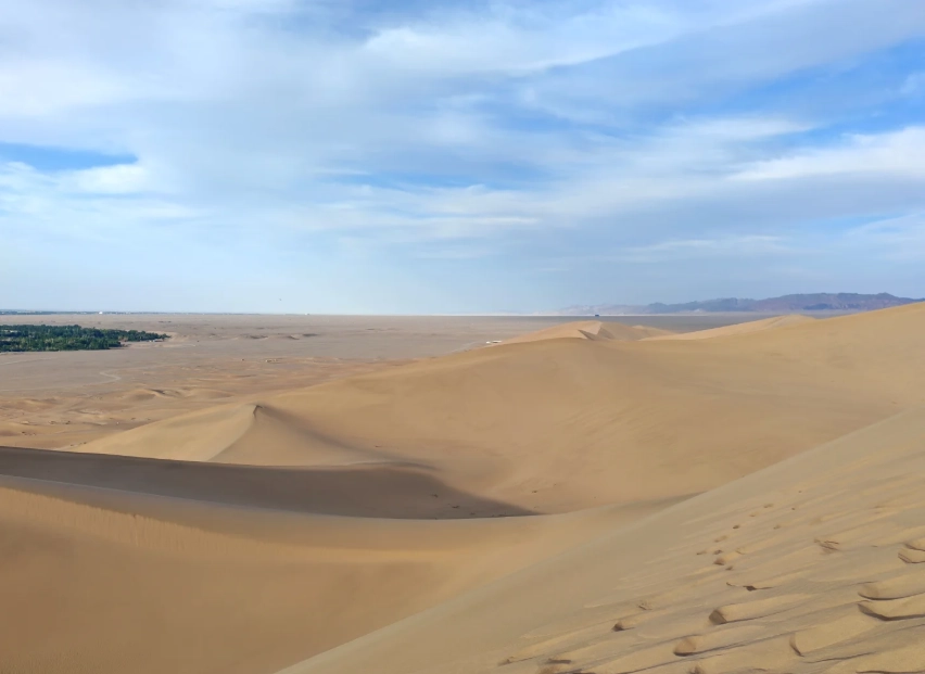 desert oasis desert oasis